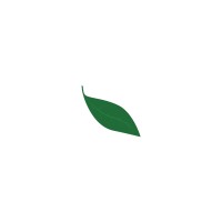 healthienut Logo