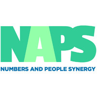Numbers and People Synergy Logo