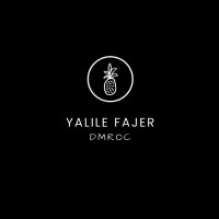 Yalile Fajer Consulting Logo