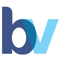 BLU Ventures Holdings Pte. Ltd. Logo