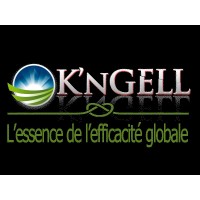 KnGELL Ingenierie Logistique Logo