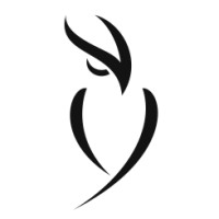 Visym Labs Logo