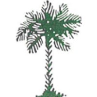 The Carolina Appraisal Group Logo