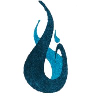Liquid Image, Inc. Logo