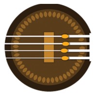 Tamboora - The Social Network for Musicians Logo