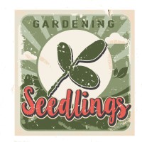Seedlings Gardening Logo
