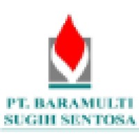 Baramulti Group Logo