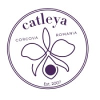 Catleya Wines Logo