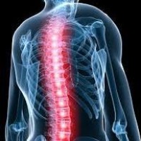 Paschket Chiropractic Clinic Logo