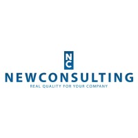 Newconsulting Srls Logo