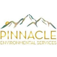 Pinnacle Environmental Services Logo