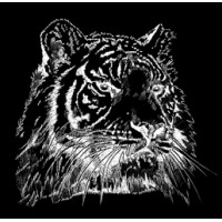 Tiger Audio, Inc Logo