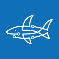 BlueShark Logo