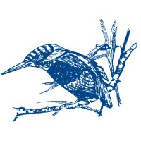 KINGFISHER DEVELOPMENTS (WALES) LIMITED Logo