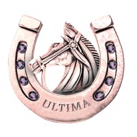 Ultima Racing Group Logo