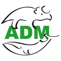 Associazione Didattica Museale Logo