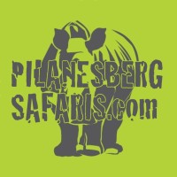 Pilanesberg Safaris and Tours Logo