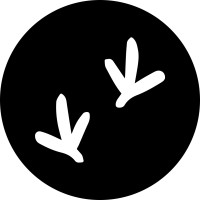 Raven (YC S22) Logo