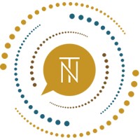 The Nelson Team Logo