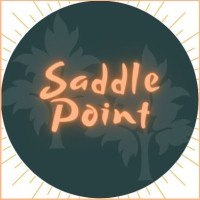 Saddle Point® Logo