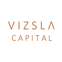 VIZSLA CAPITAL Logo
