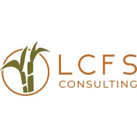 LCFS Consulting Services, Inc. Logo