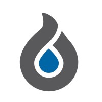 Professional Restoration Logo