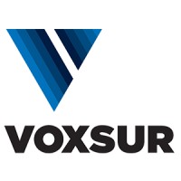 Voxsur Logo