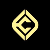 Critical Curves Consult Limited Logo