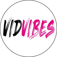 VidVibes Logo