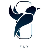 FLY Consulting Logo