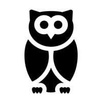 Night Owl Consulting Ltd Logo