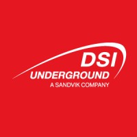 DSI Underground EMEA Logo