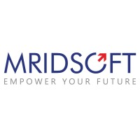 MRIDSOFT SOLUTIONS PVT LTD Logo