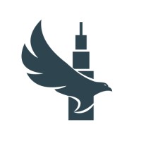 Silver Eagle Advisory Group Logo