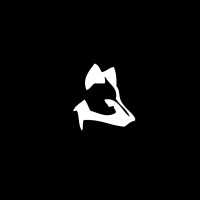 Wolf Web Design Logo