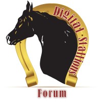 Digital Stallions Forum UAE Logo