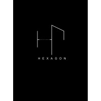 Hexagon Professional Logo