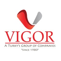 VIGOR Group of Companies Logo