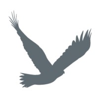 Spacek Advisory Logo