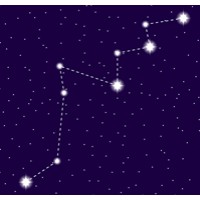 Lacerta Services SRL Logo