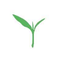 Sprouting STEM Logo