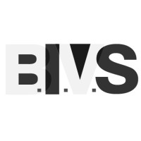 Business Industry Venture Solutions Logo