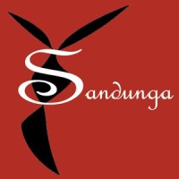 Sandunga Dance Studio Logo
