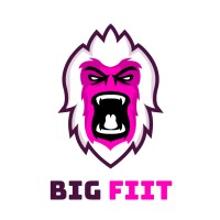 Big Fiit Logo