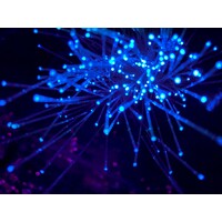 World Economic Forum Digital Economy Logo