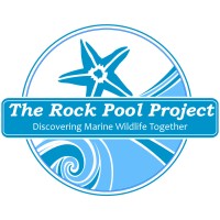 The Rock Pool Project Logo