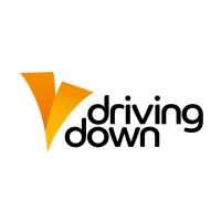 Driving Down Ltd Logo