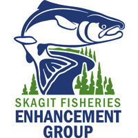 Skagit Fisheries Enhancement Group Logo