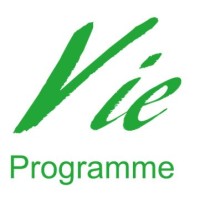 VIE Programme Logo
